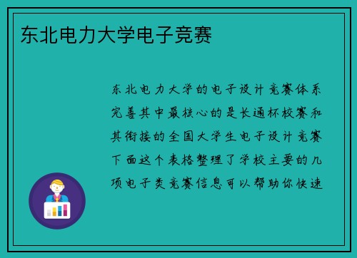 东北电力大学电子竞赛