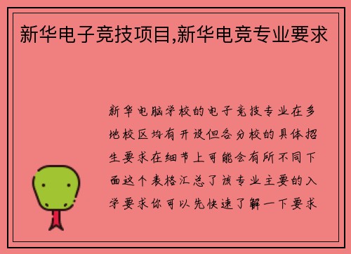 新华电子竞技项目,新华电竞专业要求